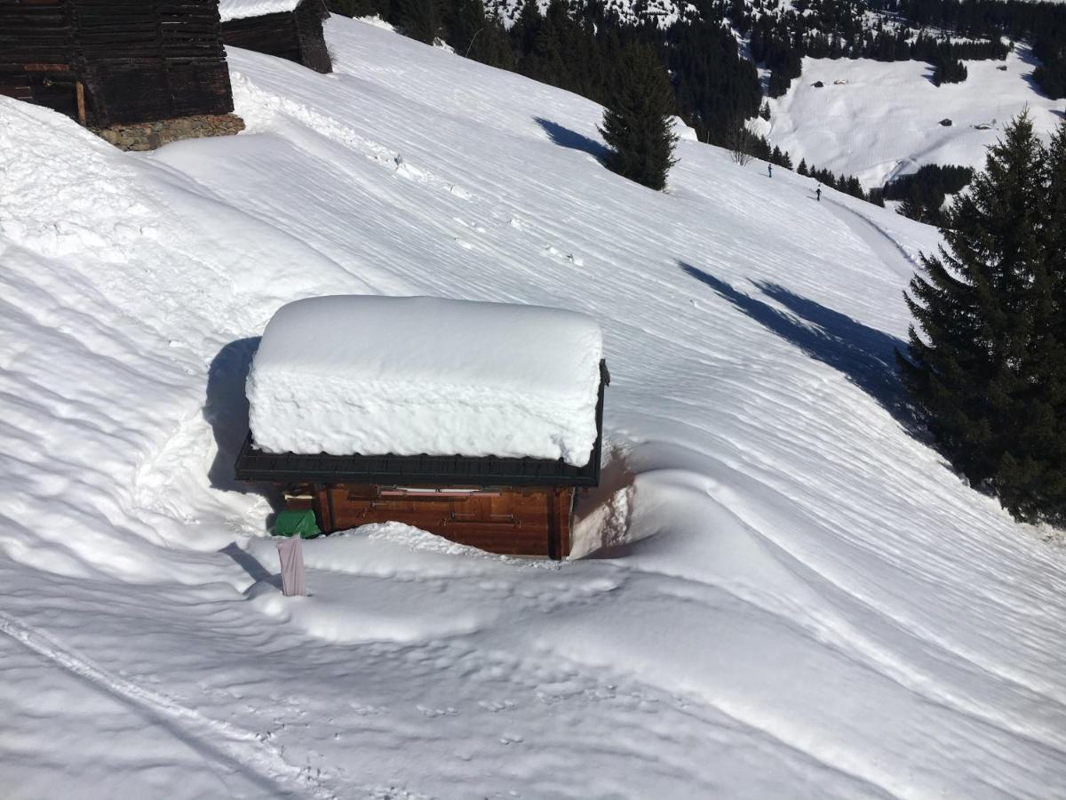 Casa Cuschina - Mit Sauna In Der Schoenen Surselva Dardin Exteriör bild
